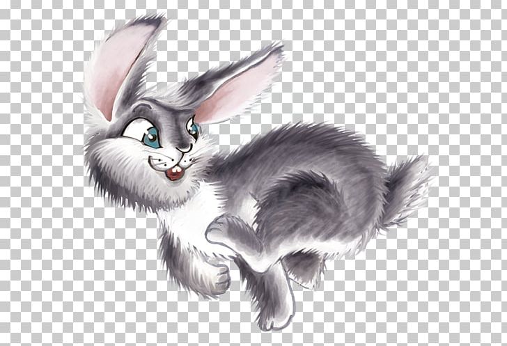 Hare Spring Rabbit PNG, Clipart, Animal, Animals, Carnivoran, Cat, Cat Like Mammal Free PNG Download