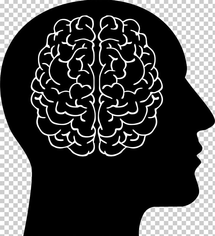 Human Brain Human Head PNG, Clipart, Black And White, Brain, Computer Icons, Homo Sapiens, Human Behavior Free PNG Download