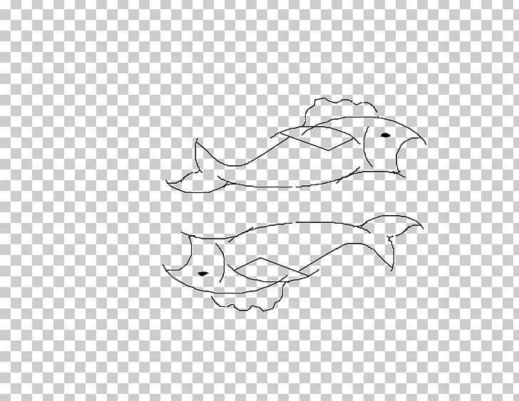 Marine Mammal White Line Art Illustration PNG, Clipart, Angle, Area, Art, Bird, Black Free PNG Download