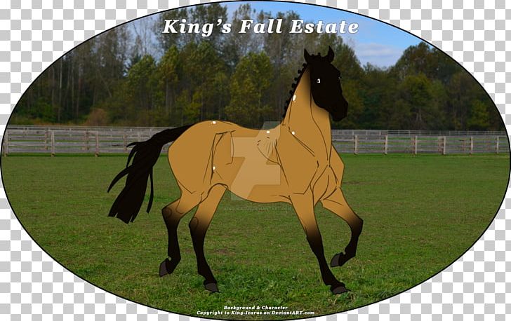 Stallion Mare Halter Foal PNG, Clipart, Bridle, Colt, Deviantart, Digital Art, Foal Free PNG Download