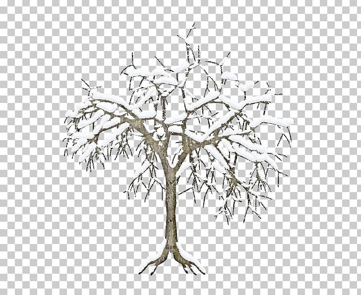 Twig Plant Stem Leaf Line Black PNG, Clipart, Baum, Black, Black And White, Branch, Flowering Plant Free PNG Download