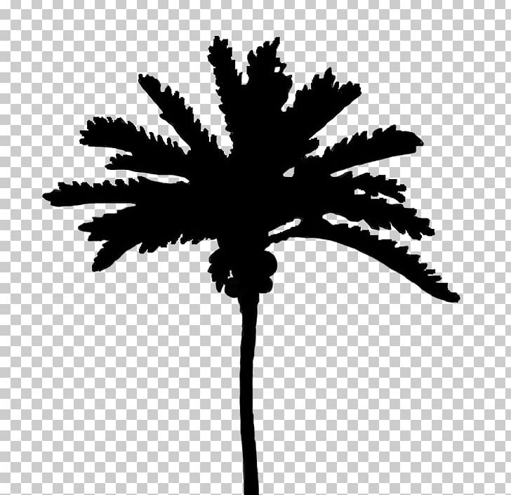 Arecaceae Silhouette Tree PNG, Clipart, Animals, Arecaceae, Arecales, Art, Black And White Free PNG Download