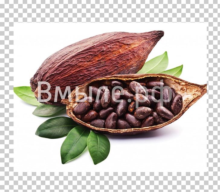 Cocoa Bean Cocoa Solids Hot Chocolate Chocolate Liquor PNG, Clipart, Bean, Beans, Chocolate, Chocolate Liquor, Cocoa Free PNG Download