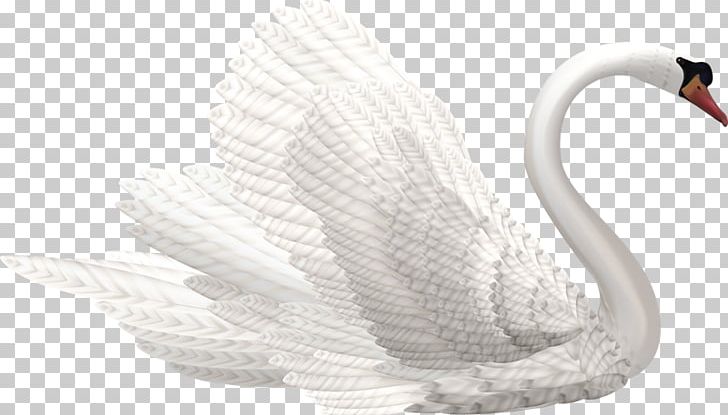 Mute Swan Black Swan PNG, Clipart, Beak, Bird, Black Swan, Cygnini, Drawing Free PNG Download