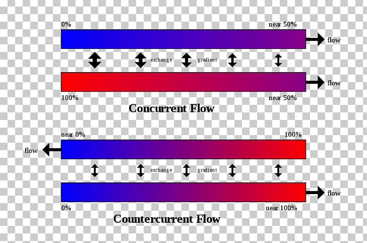 Countercurrent Exchange Heat Exchanger System Countercurrent Multiplication Gas Exchange PNG, Clipart, Angle, Area, Biological System, Brand, Circulatory System Free PNG Download