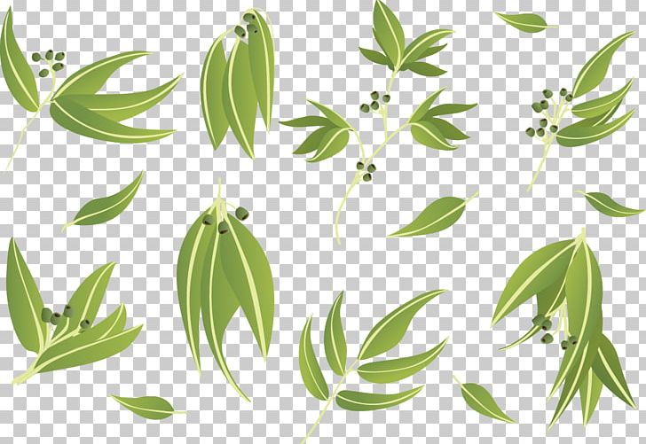 Gum Trees Leaf Euclidean PNG, Clipart, Adobe Illustrator, Banana Leaves, Branch, Cutout Vector, Encapsulated Postscript Free PNG Download