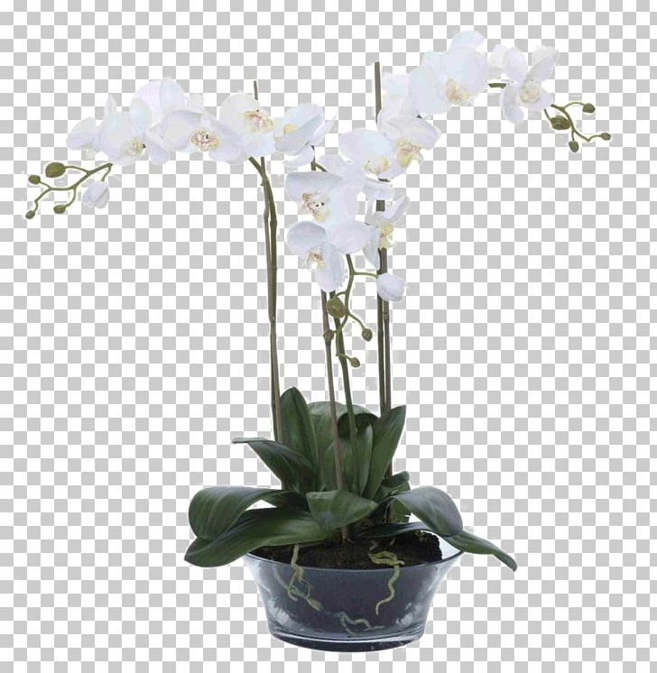 Moth Orchids Mirror Flower Vase PNG, Clipart, Artificial Flower, Color, Decoration, Decorative, Decorative Vase Free PNG Download