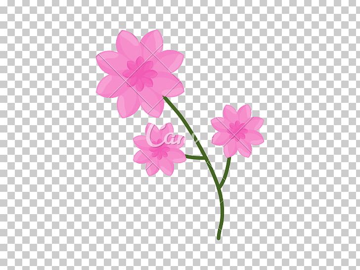 Pink Flowers Computer Icons PNG, Clipart, Blossom, Computer Icons, Flower, Flowering Plant, Herbaceous Plant Free PNG Download