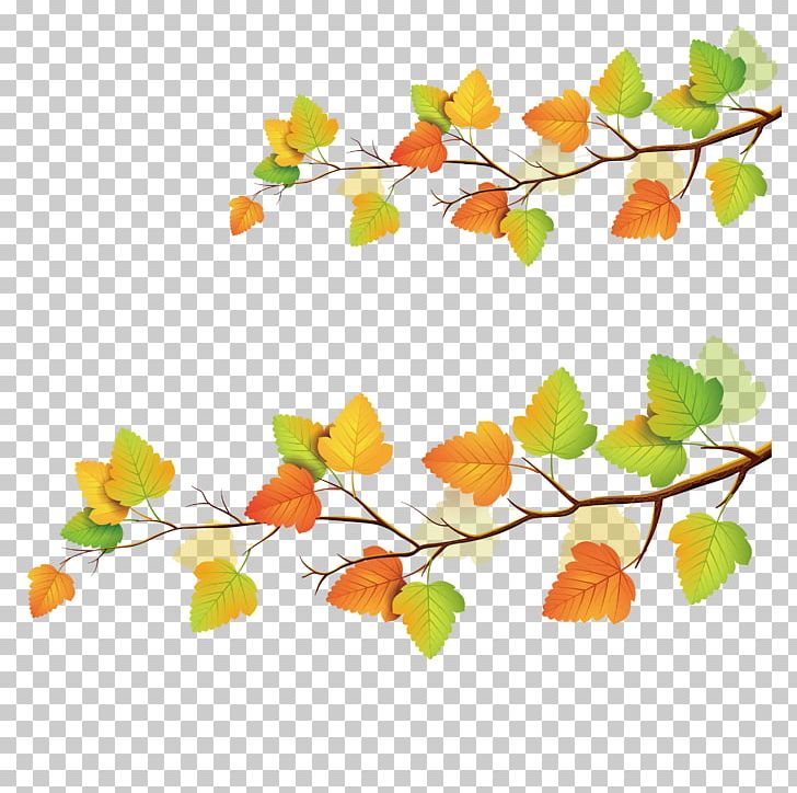 Autumn Leaf Color PNG, Clipart, Autumn Vector, Background, Beautiful, Branch, Branches Free PNG Download