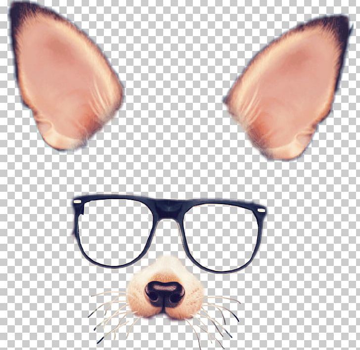 Spectacles Snapchat Photographic Filter PNG, Clipart, Carnivoran, Dog Like Mammal, Ear, Eyewear, Fox Free PNG Download