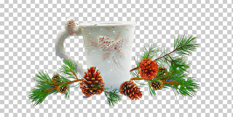 Christmas Ornament PNG, Clipart, Christmas Day, Christmas Ornament, Conifers, Evergreen, Ornament Free PNG Download