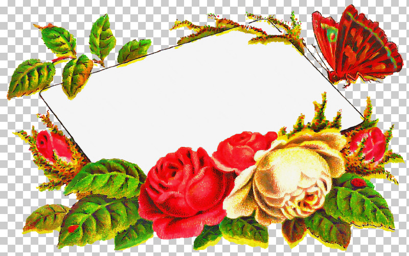 Garden Roses PNG, Clipart, Cut Flowers, Flower, Garden Roses, Plant, Rose Free PNG Download