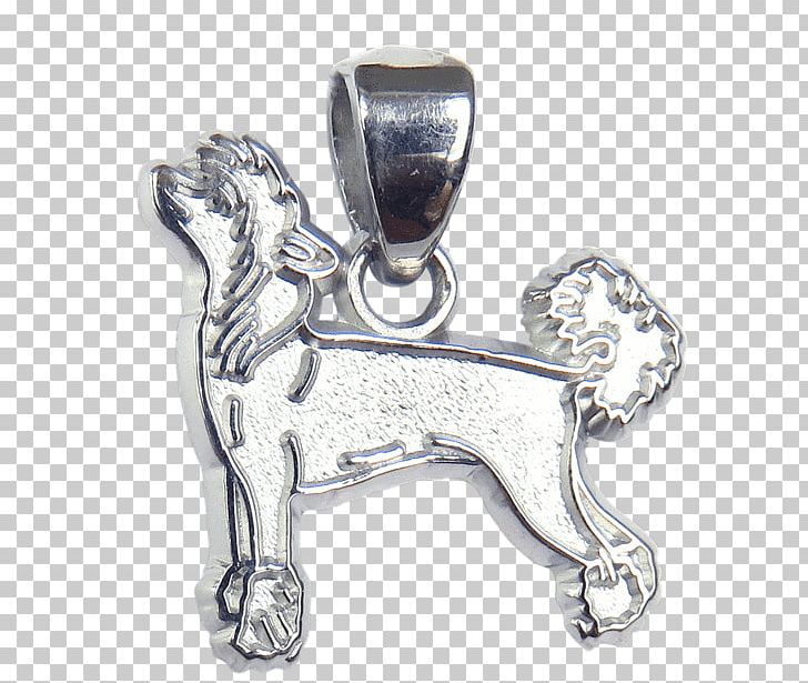 Chinese Crested Dog Airedale Terrier Locket Dog Breed Charms & Pendants PNG, Clipart, Airedale Terrier, American Kennel Club, Body Jewelry, Bracelet, Breed Free PNG Download