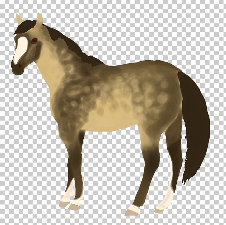 Mustang Foal Stallion Colt Mare PNG, Clipart, Animal, Bridle, Colt, Criollo, Foal Free PNG Download