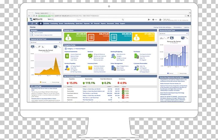 NetSuite Enterprise Resource Planning Dashboard Computer Software Non-profit Organisation PNG, Clipart, Analytics, Area, Brand, Business Productivity Software, Cloud Free PNG Download