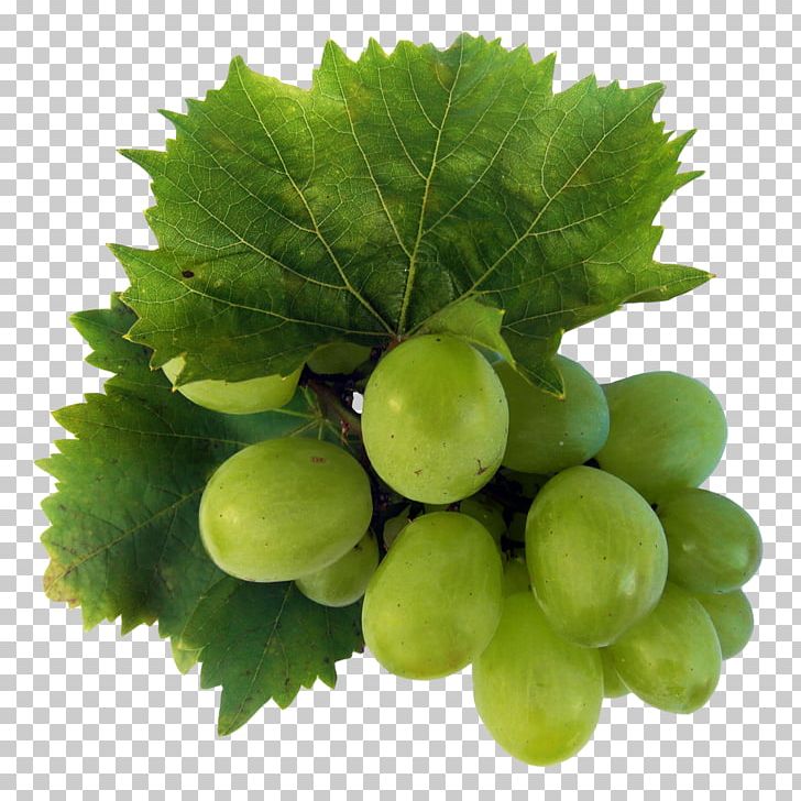 Wine Sultana Riesling Grape Fruit PNG, Clipart, Berry, Common Grape Vine, Cooking Banana, Food, Fruit Free PNG Download