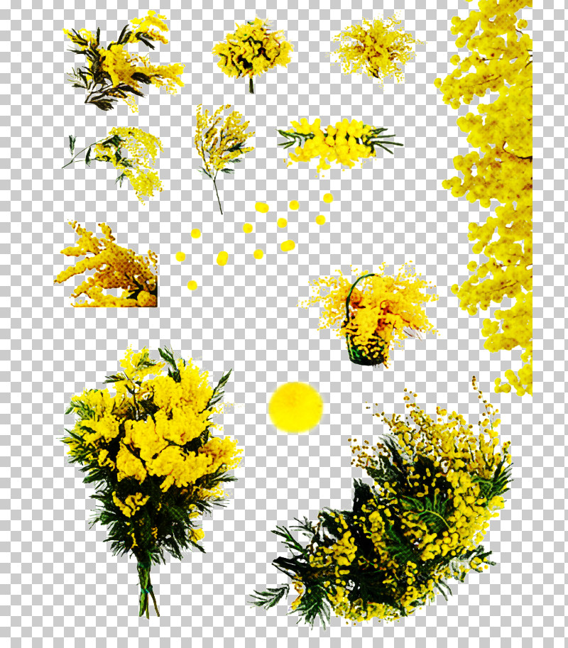 Sunflower PNG, Clipart, Chamomile, Dandelion, Flower, Goldenrod, Mayweed Free PNG Download