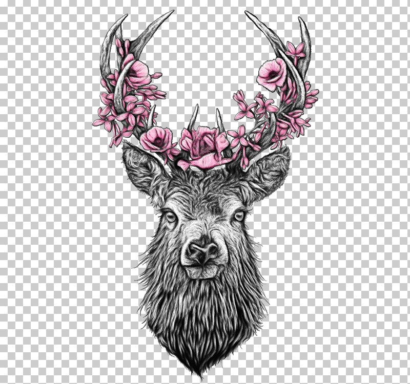 Head Horn Antler Drawing Deer PNG, Clipart, Antler, Deer, Drawing, Head, Horn Free PNG Download