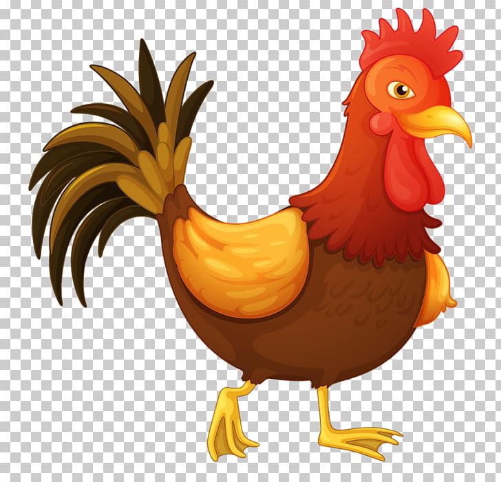 Chicken Rooster PNG, Clipart, 2017 Big Cock, Animals, Badminton Shuttle Cock, Beak, Big Cock Free PNG Download