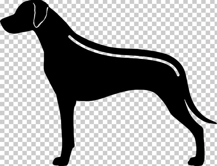 Dobermann Rhodesian Ridgeback Pointer PNG, Clipart, Black And White, Carnivoran, Dobermann, Dog, Dog Breed Free PNG Download