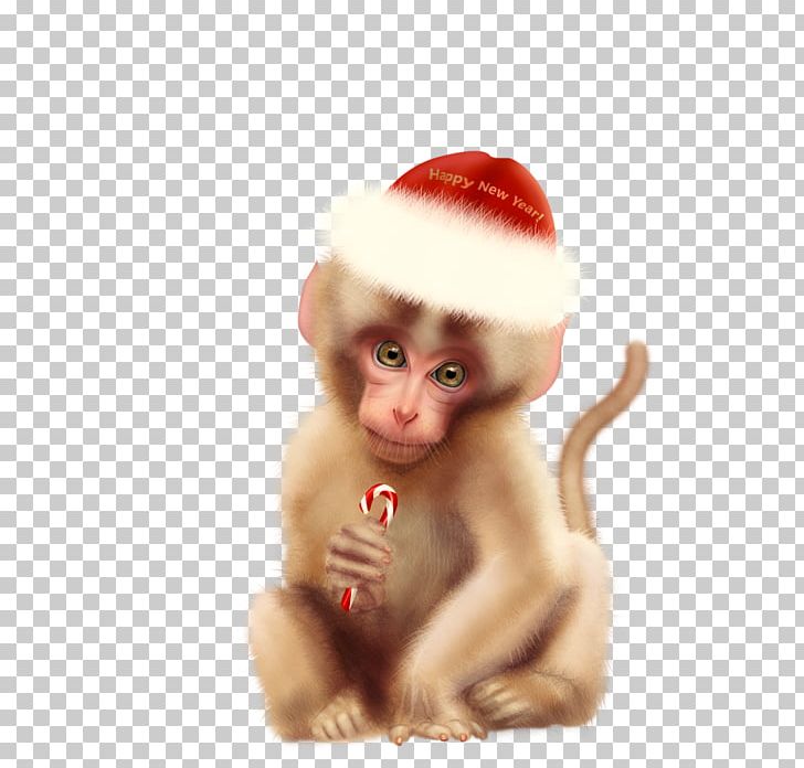 Macaque Christmas Ornament Figurine PNG, Clipart, Christmas, Christmas Ornament, Figurine, Holidays, Macaque Free PNG Download
