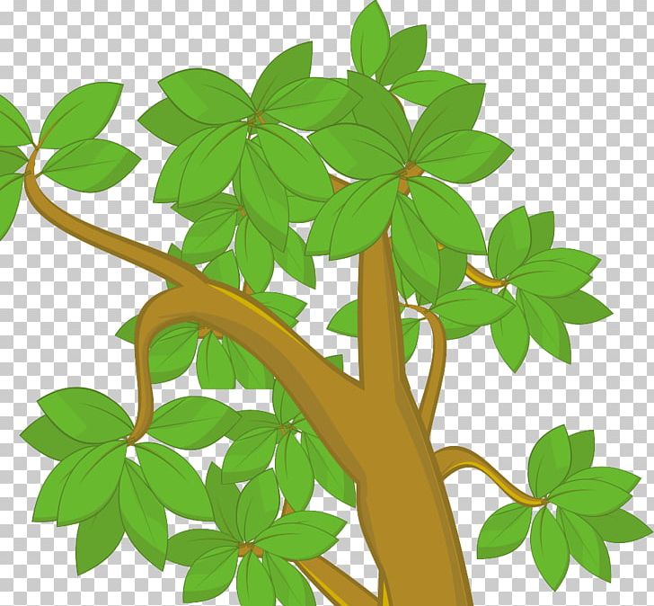 Tree Drawing Cartoon PNG, Clipart, Bay Leaves, Branch, Cartoon, Clip Art, Drawing Free PNG Download