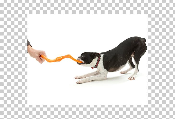 Dog Toys Amazon.com Fetch Paw PNG, Clipart, Amazoncom, Animals, Bark, Dog, Dog Breed Free PNG Download