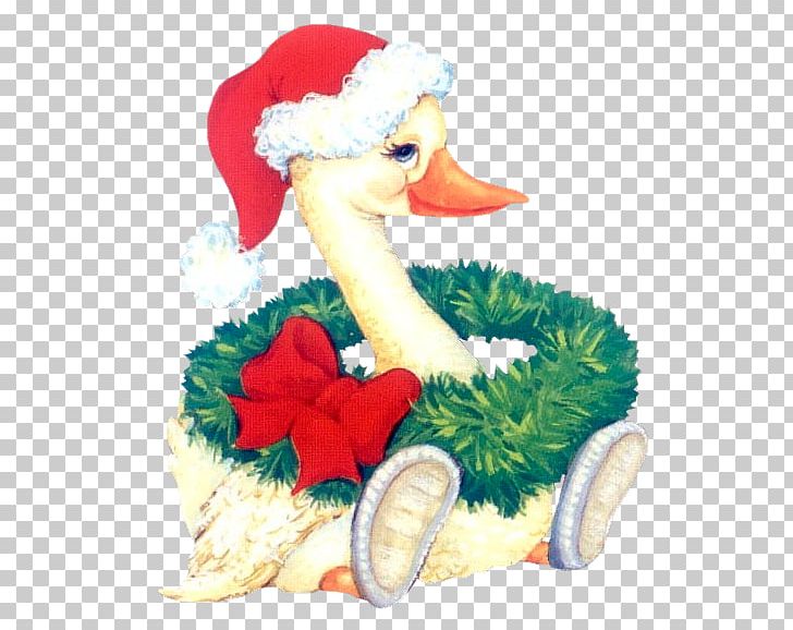 Duck Goose Christmas Day Grey Geese PNG, Clipart, Animals, Beak, Bird, Christmas Card, Christmas Day Free PNG Download