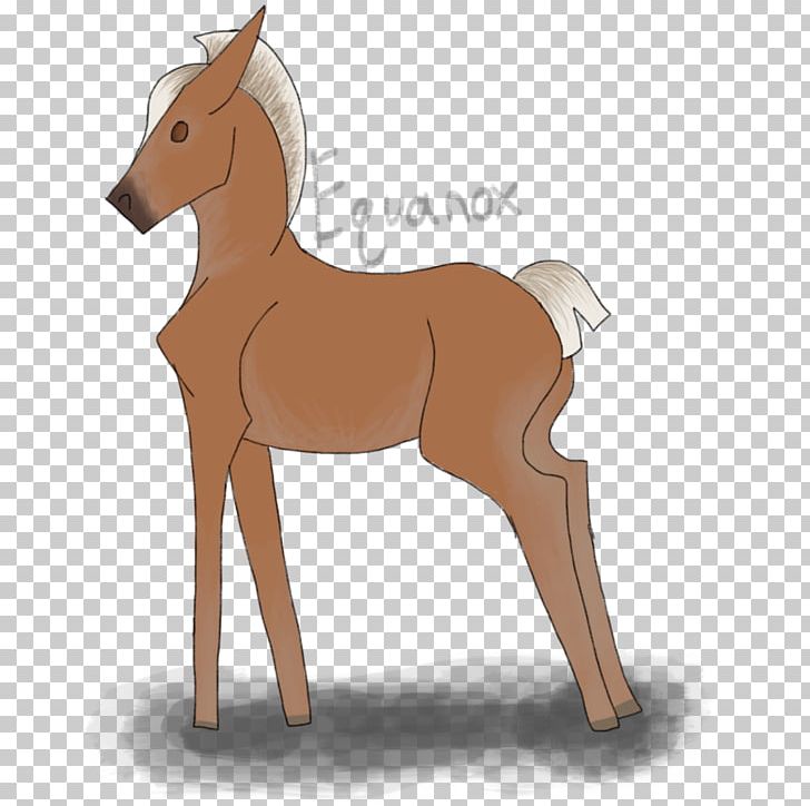 Mule Foal Stallion Colt Mare PNG, Clipart, Bridle, Cartoon, Colt, Deer, Fictional Character Free PNG Download