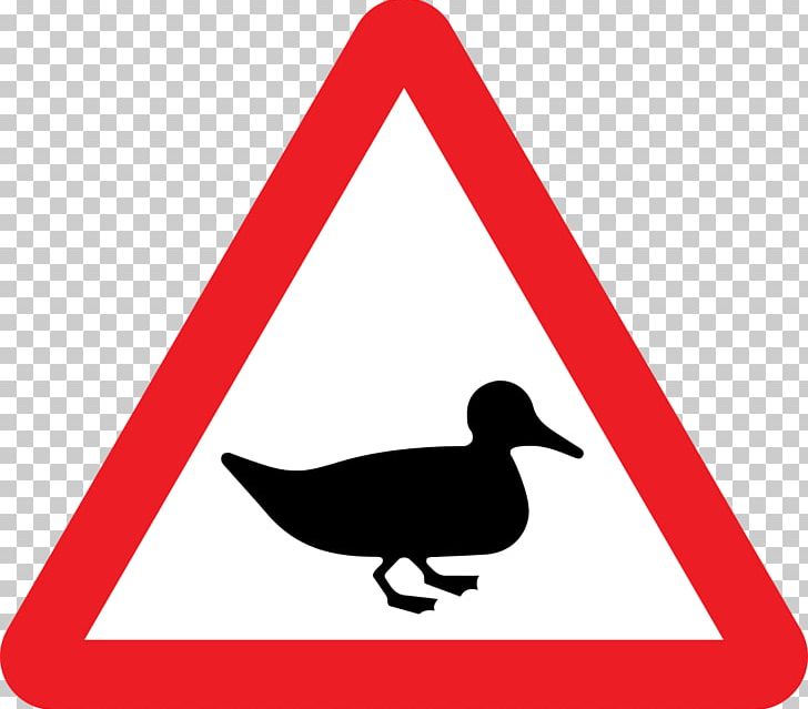 Traffic Sign Road Signs In The United Kingdom Warning Sign Duck PNG, Clipart, Animals, Area, Artwork, Beak, Bird Free PNG Download