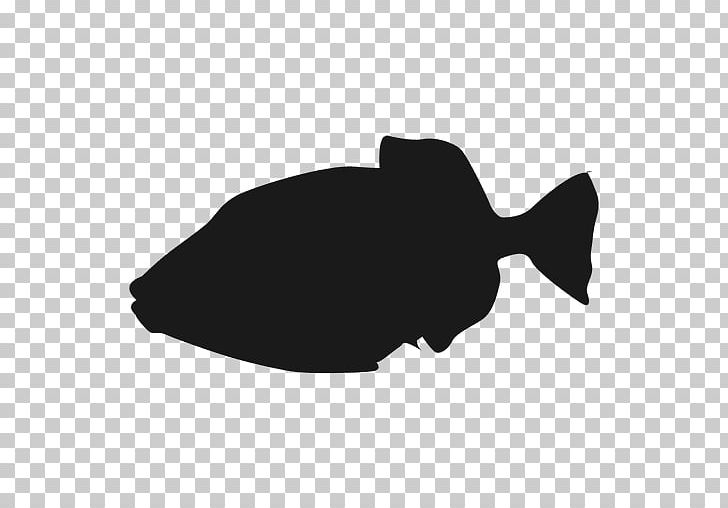 Fish Hook PNG, Clipart, Animals, Black, Black And White, Common Bream, Computer Icons Free PNG Download