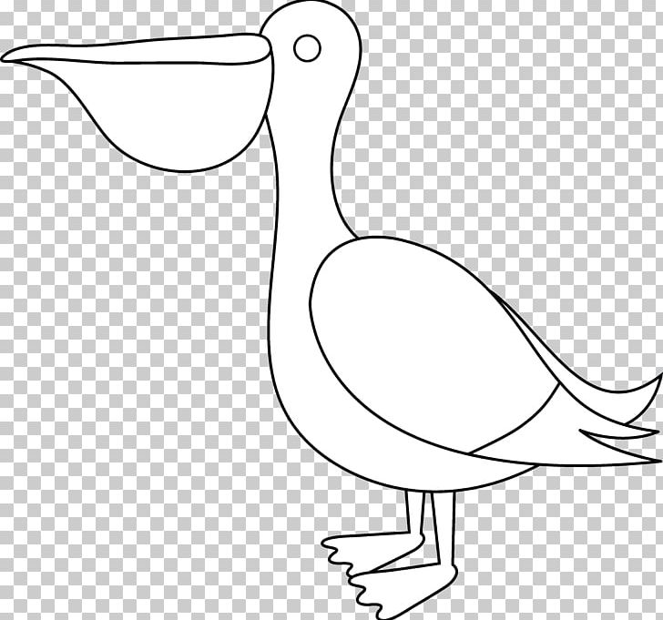 Pelican Drawing PNG, Clipart, Animals, Area, Artwork, Beak, Bird Free PNG Download