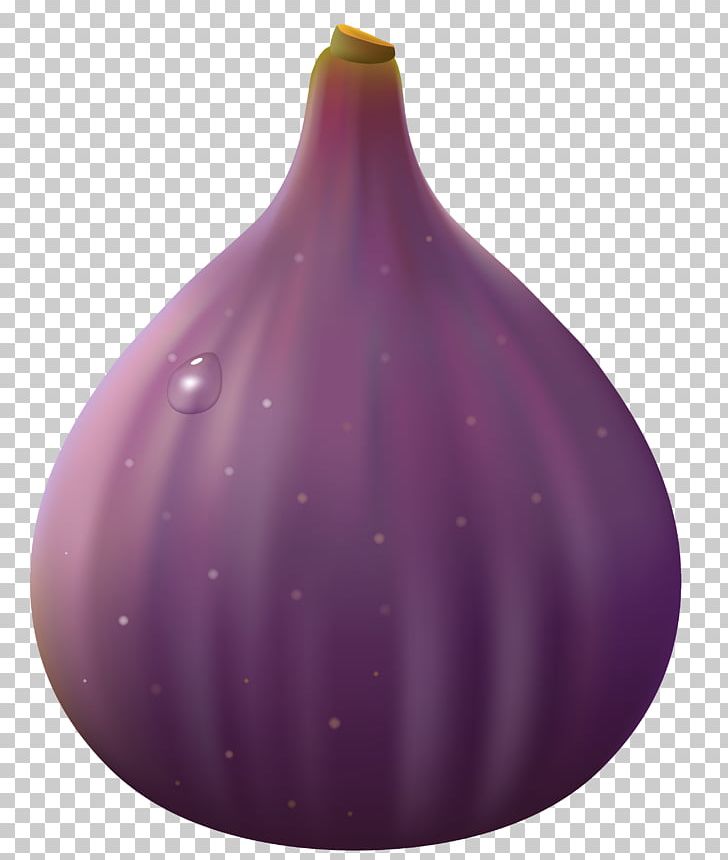 Mission Fig PNG