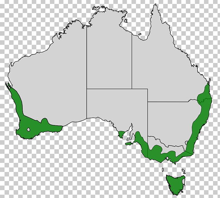 United States World Map Western Australia Australian Marriage Law Postal Survey PNG, Clipart, Area, Australia, Banksia, Blank Map, Electoral District Free PNG Download