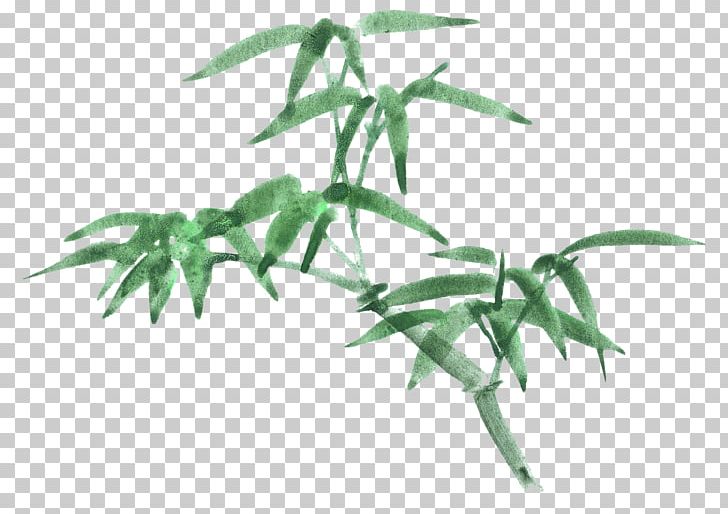 Bamboo Cartoon Drawing PNG, Clipart, Art, Bamboo, Bamboo Leaves, Bamboo Tree, Bambusa Oldhamii Free PNG Download