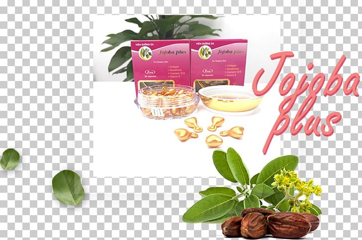 Jojoba Oil Skin Care Cream Health PNG, Clipart, Antiaging Cream, Cao, Cap, Cream, Cumin Free PNG Download