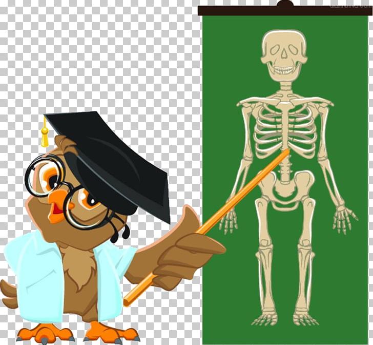 Student Teacher Anatomy Human Skeleton PNG, Clipart, Anatomy, Animals, Art, Body Parts, Cartoon Free PNG Download