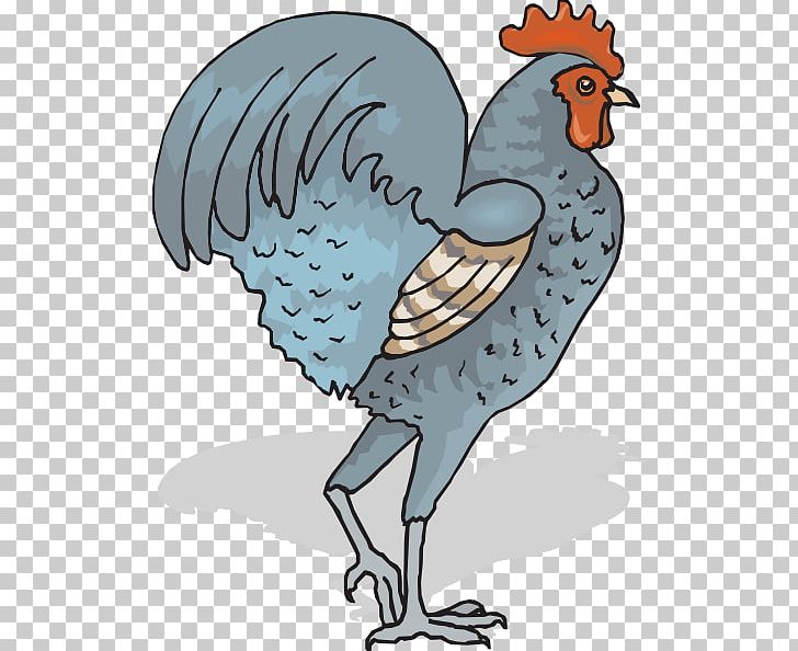 Chicken Rooster Landfowl Pixabay PNG, Clipart, Art, Beak, Bird, Chicken, Farm Free PNG Download
