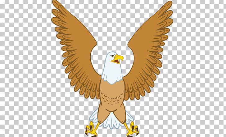 Eagle Cartoon Euclidean Illustration PNG, Clipart, Animal, Balloon Cartoon, Beak, Bird, Bird Of Prey Free PNG Download