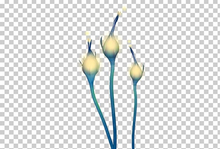Flowering Plant Plant Stem PNG, Clipart, Flower, Flowering Plant, Miscellaneous, Others, Petal Free PNG Download