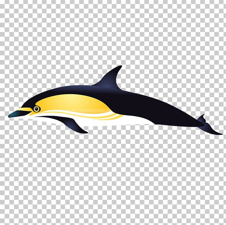 Short-beaked Common Dolphin Tucuxi Porpoise Common Bottlenose Dolphin PNG, Clipart, Animal, Animals, Aquatic Animal, Bird, Black Hair Free PNG Download