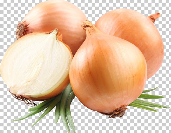 Red Onion Yellow Onion White Onion French Onion Soup PNG, Clipart, Display Resolution, Food, French Onion Soup, Garlic, Image File Formats Free PNG Download