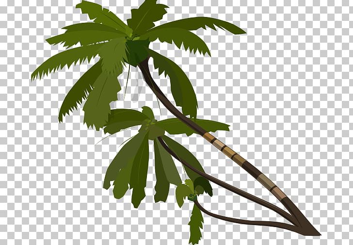 Arecaceae Tree PNG, Clipart, Arecaceae, Branch, Computer Icons, Flowering Plant, Hemp Free PNG Download