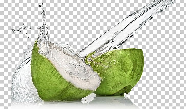 Coconut Water Sports & Energy Drinks Juice Coconut Milk PNG, Clipart, Alcoholic Drink, Avocado, Beverages, Coconut, Coconut Milk Free PNG Download