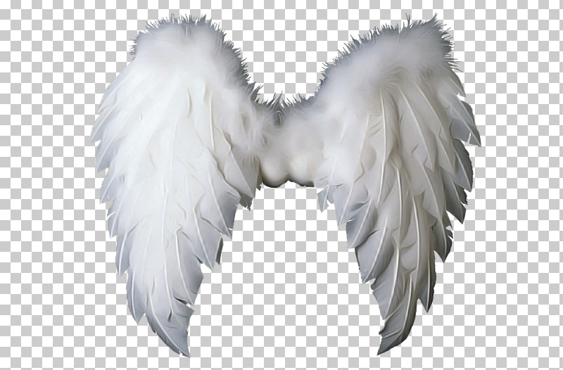 Feather PNG, Clipart, Angel, Costume Accessory, Feather, Silver, White Free PNG Download