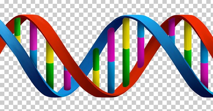 DNA Genetics Biology PNG, Clipart, Biology, Cousin, Crispr, Dna, Epigenetics Free PNG Download