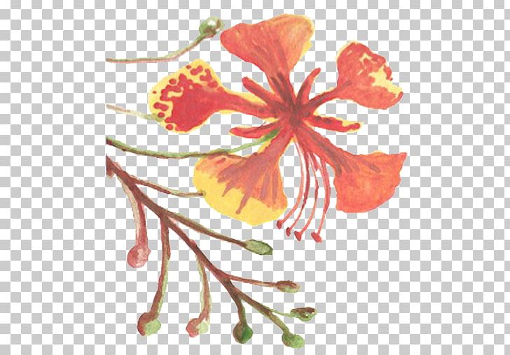 Flower Hibiscus Floral Design Mallows Plant PNG, Clipart, Flora, Floral Design, Flower, Flower Arranging, Flowering Plant Free PNG Download