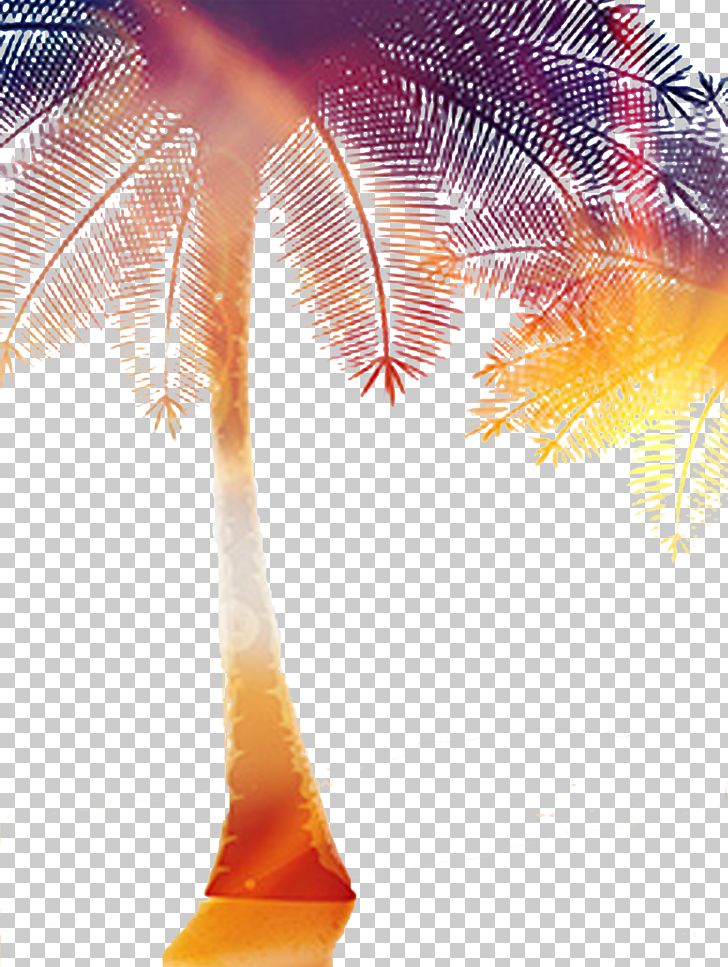 Light Coconut Tree PNG, Clipart, Arecaceae, Christmas Decoration, Christmas Tree, Coconut, Coconut Day Free PNG Download