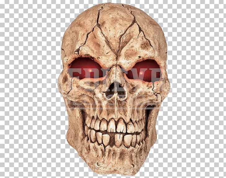Skull Human Skeleton Haunted House Eye PNG, Clipart, Bone, Eye, Fantasy, Fiberglass, Giant Free PNG Download