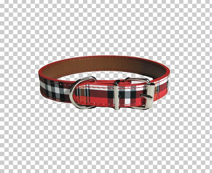 Dog Collar Belt Buckle PNG, Clipart, Animals, Belt, Belt Buckle, Belt Buckles, Buckle Free PNG Download